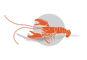 Logo Viviers de la Mine